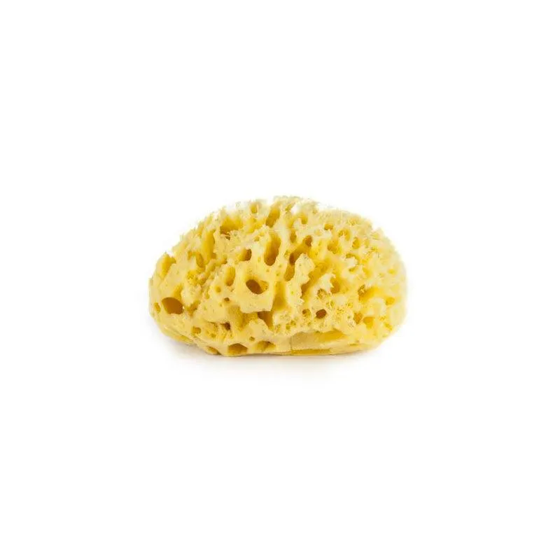 Bellini Honeycomb Bleached Sponge