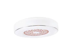 Ceiling Light, HLF-11