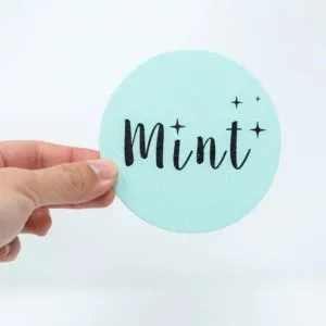 Eco-Sponge Mint Cleaning