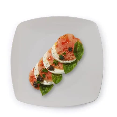 Fineline Renaissance 1510- 10" Dinner Plate  (120/Case)