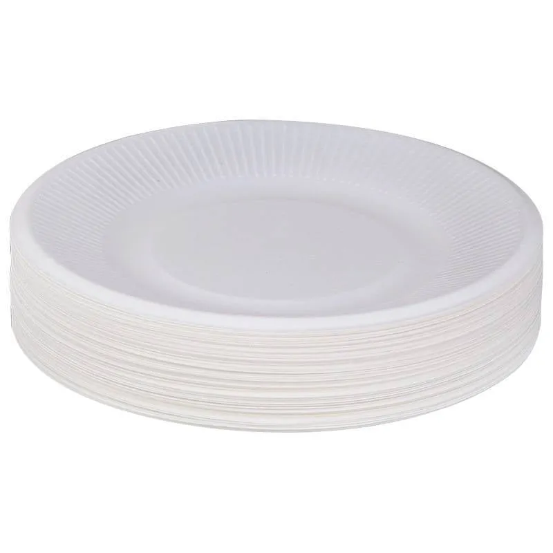 Hand-painted 50 Thick Cake Plates On Disposable Paper Plates