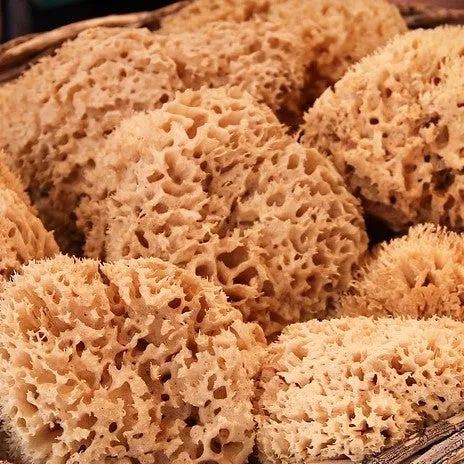 Natural Sea Sponge - Sea Wool Sponge