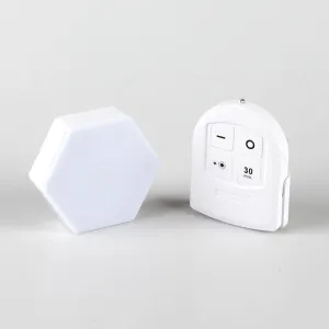 Remote Control LED Light