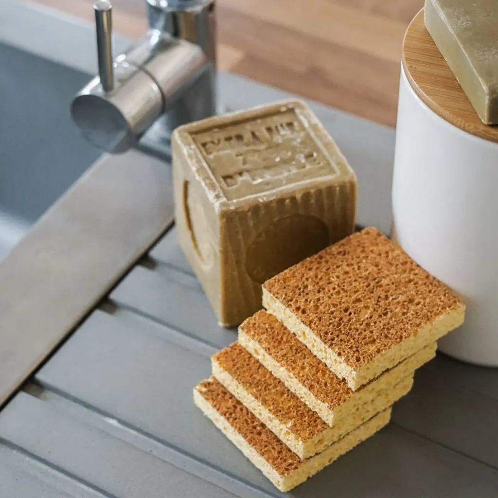 Set of 4 Sponges with Apricot Kernel