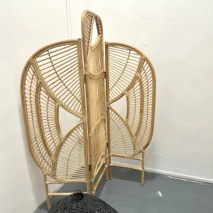 Zoe Rattan Paravan, Divider